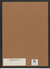 Diatomeae indet. Zeichnungen Sammlung Grunow Mappe 03030 (Herbarium_W_Grunow_drawings_Folder_03030)